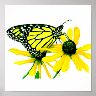 Sonnenblume Poster
