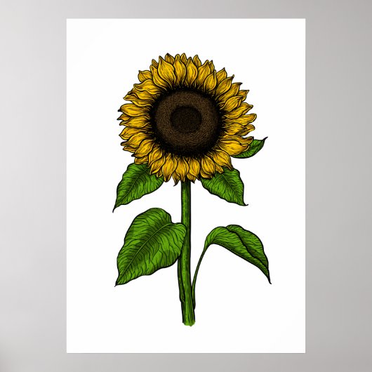 Sonnenblume Poster (Vorne)
