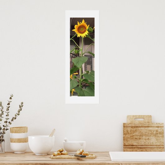 Sonnenblume Poster (Küche)