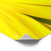 Sonnenblume Poster (Ecke)