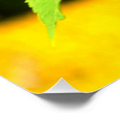 Sonnenblume Poster (Ecke)