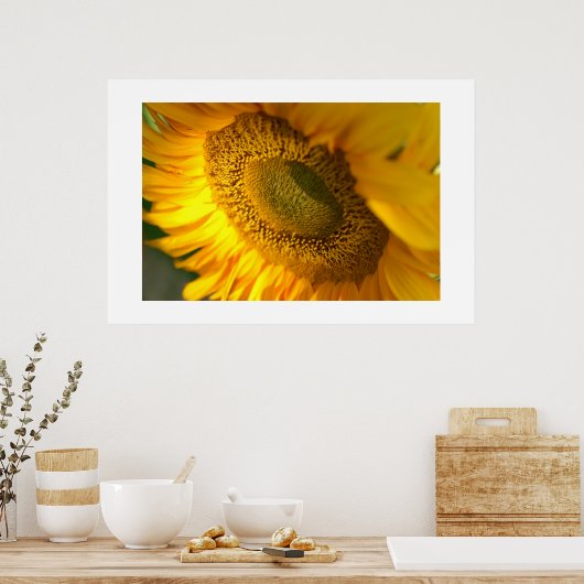 Sonnenblume Poster (Küche)