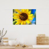 Sonnenblume Poster (Küche)