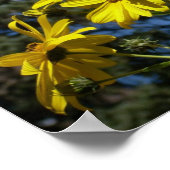 Sonnenblume Poster (Ecke)