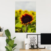 Sonnenblume Poster (Heimbüro)
