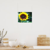 Sonnenblume Poster (Küche)