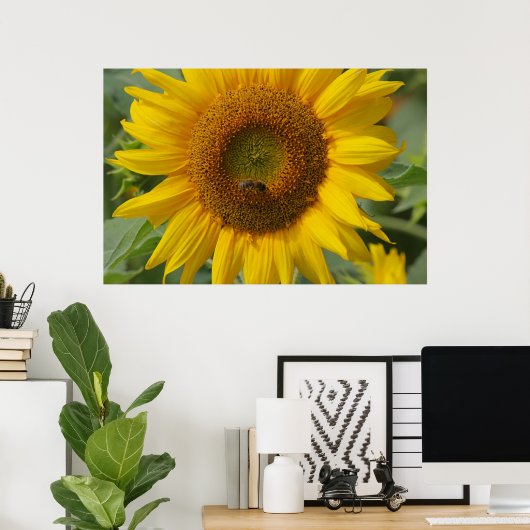 Sonnenblume Poster (Heimbüro)