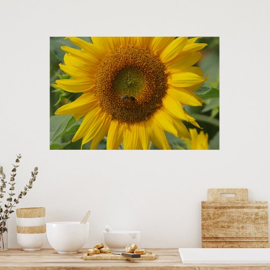 Sonnenblume Poster (Küche)