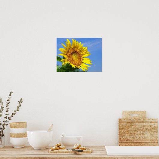 Sonnenblume Poster (Küche)