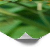 Sonnenblume Poster (Ecke)