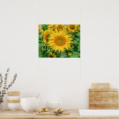 Sonnenblume Poster (Küche)