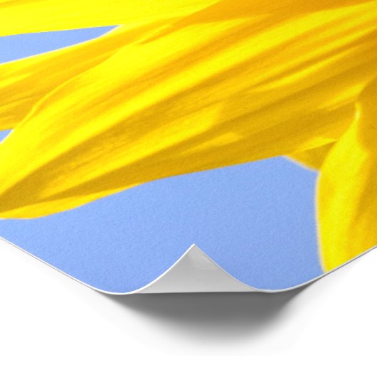 Sonnenblume Poster (Ecke)