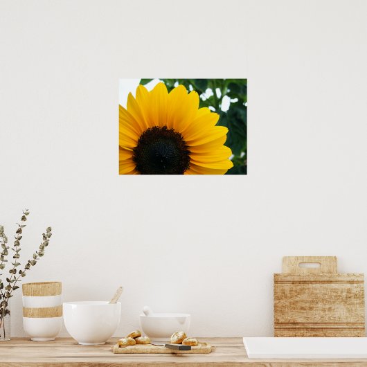 Sonnenblume Poster (Küche)
