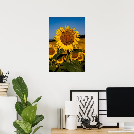 Sonnenblume Poster (Heimbüro)