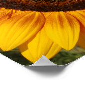 Sonnenblume Poster (Ecke)