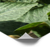 Sonnenblume Poster (Ecke)