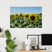 Sonnenblume Poster (Heimbüro)