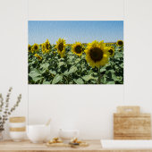 Sonnenblume Poster (Küche)