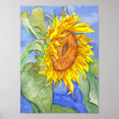 Sonnenblume Poster (Vorne)