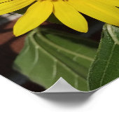 Sonnenblume Poster (Ecke)