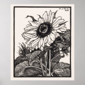 Sonnenblume Poster (Vorne)