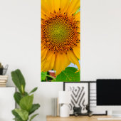 Sonnenblume Poster (Heimbüro)