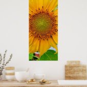 Sonnenblume Poster (Küche)