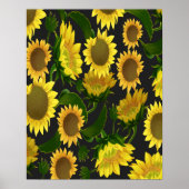 Sonnenblume Poster (Vorne)
