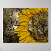 Sonnenblume Poster (Vorne)