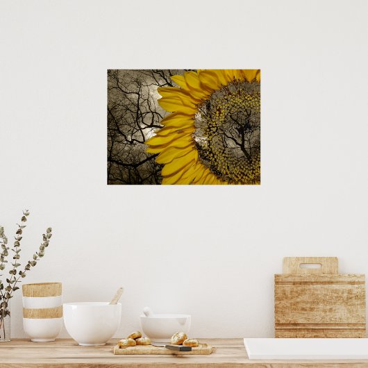 Sonnenblume Poster (Küche)