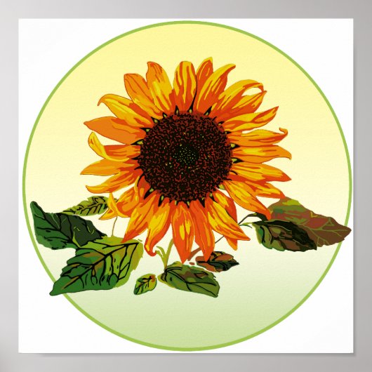 Sonnenblume Poster (Vorne)
