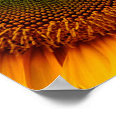 Sonnenblume Poster (Ecke)