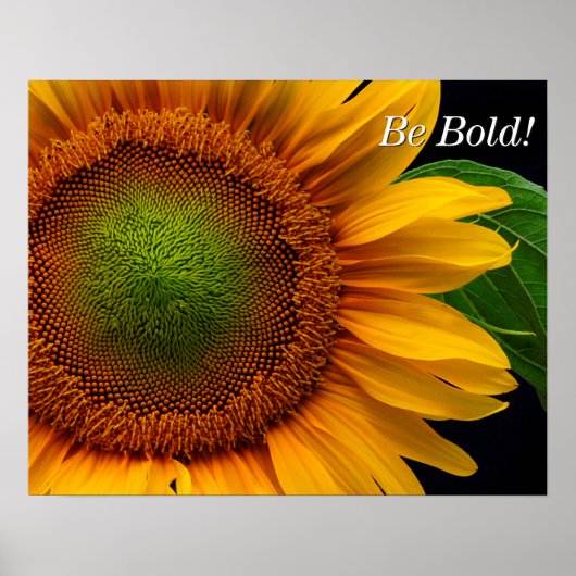 Sonnenblume Poster (Vorne)