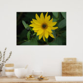 Sonnenblume Poster (Küche)