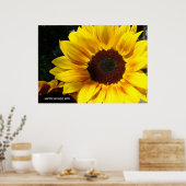 Sonnenblume Poster (Küche)
