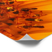 Sonnenblume Poster (Ecke)