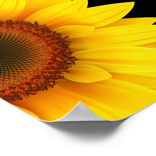 Sonnenblume Poster (Ecke)