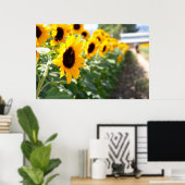 Sonnenblume Poster (Heimbüro)