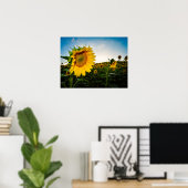 Sonnenblume Poster (Heimbüro)