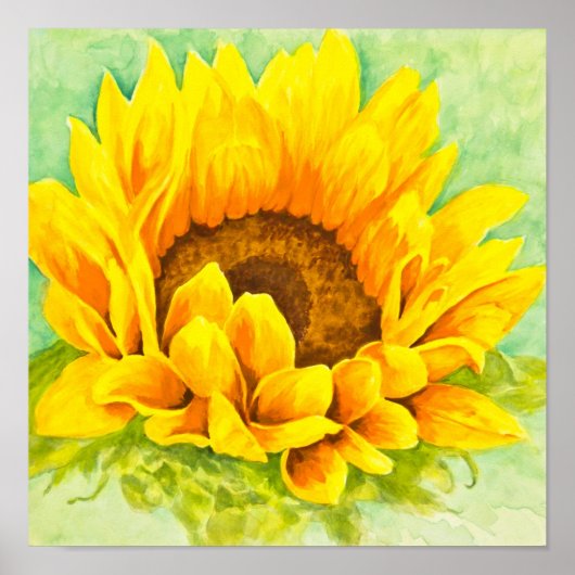 Sonnenblume Poster (Vorne)