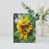 Sonnenblume Postkarte (Stehend Vorderseite)