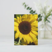 Sonnenblume Postkarte (Stehend Vorderseite)