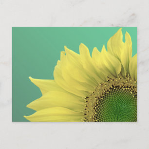 Sonnenblume Postkarte