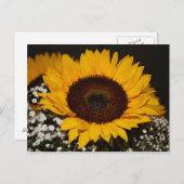 Sonnenblume Postkarte (Vorne/Hinten)
