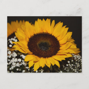 Sonnenblume Postkarte