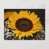 Sonnenblume Postkarte (Vorderseite)