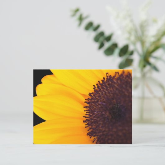 Sonnenblume Postkarte (Stehend Vorderseite)