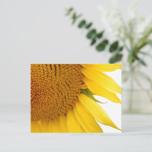 Sonnenblume Postkarte (Stehend Vorderseite)