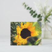 Sonnenblume Postkarte (Stehend Vorderseite)