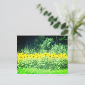 Sonnenblume Postkarte (Stehend Vorderseite)